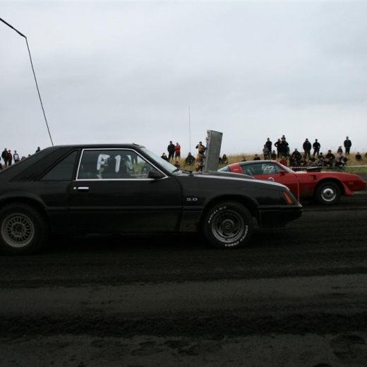 crop-05.09.2009_501__large_