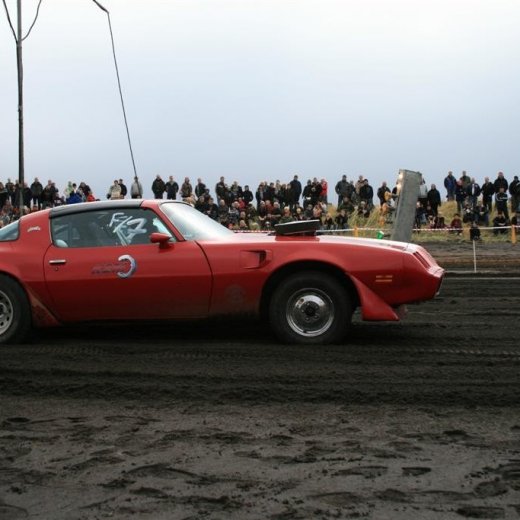 crop-05.09.2009_618__large_