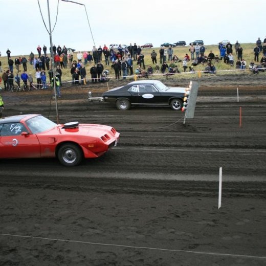 crop-05.09.2009_832__large_