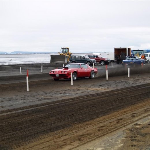 crop-p9056039__large_