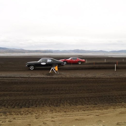 crop-p9056380__large_