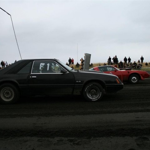 crop-05.09.2009_501__large_