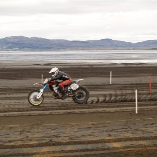 crop-p9056181__large_