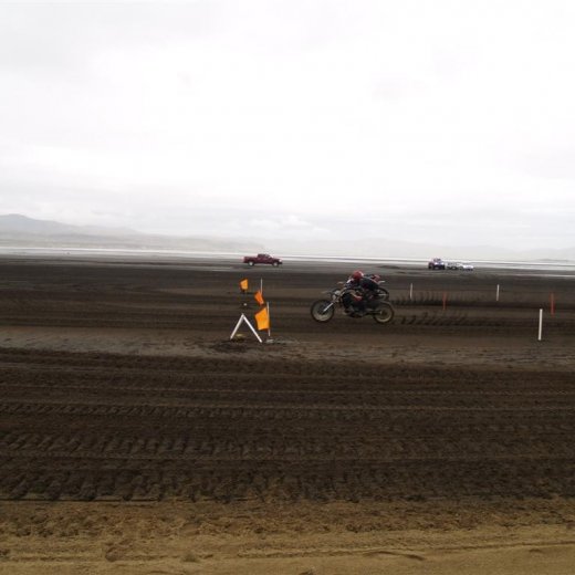 crop-p9056461__large_