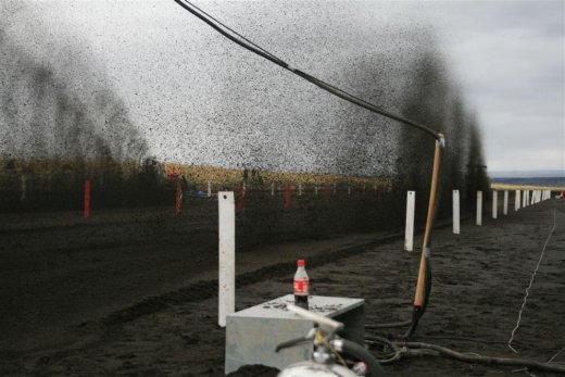 05.09.2009_567__large_