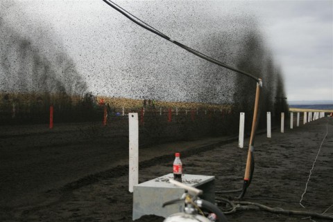 05.09.2009_567__large_