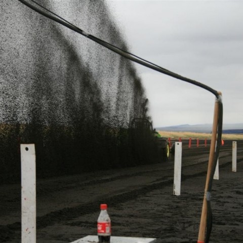 crop-05.09.2009_561__large_