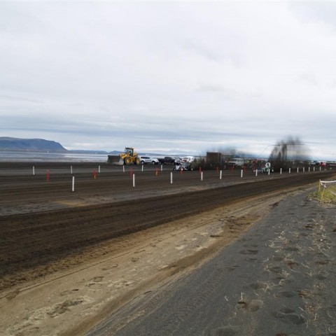 crop-p9056249__large_