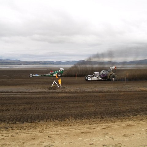 crop-p9056348__large_