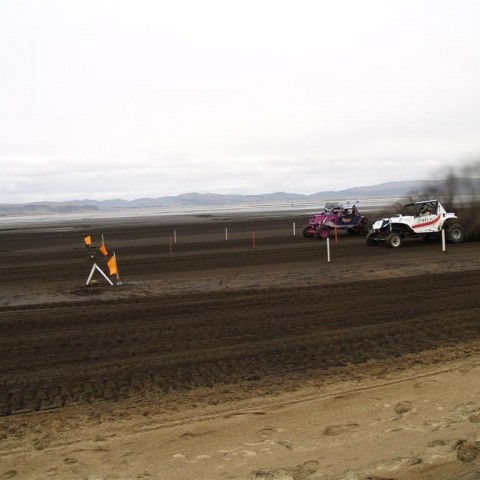 crop-p9056393__large_