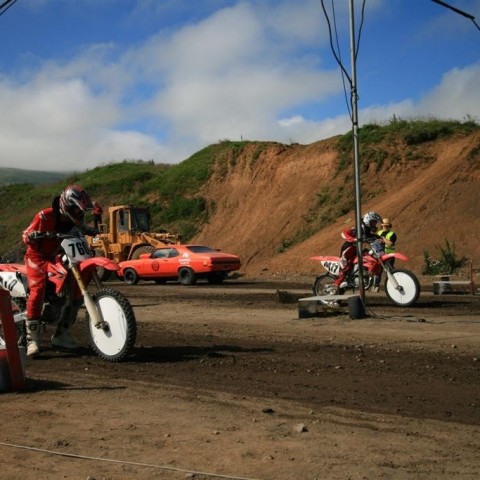 crop-img_2328__large_