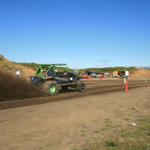 crop-img_2381__large_