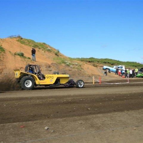 crop-img_2387__large_