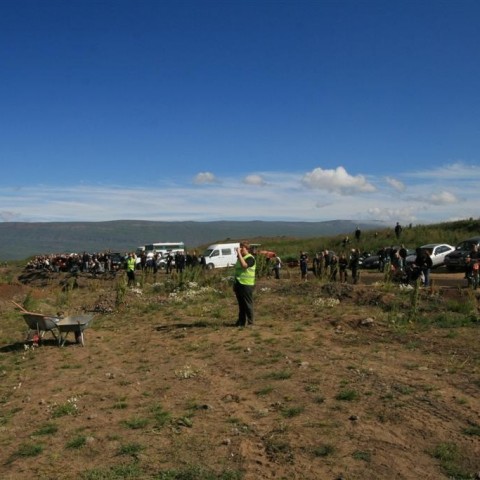 crop-img_2449__large_