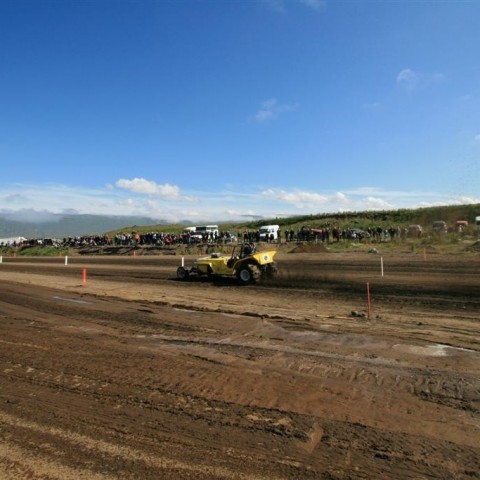 crop-img_2487__large_