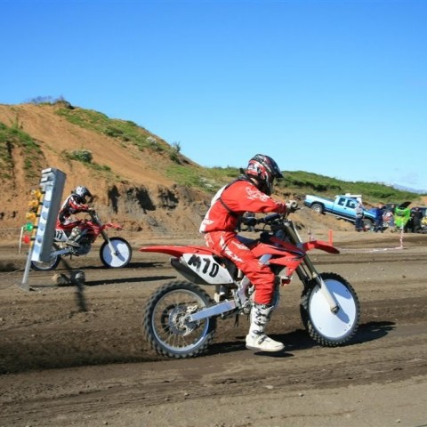 crop-img_2686__large_