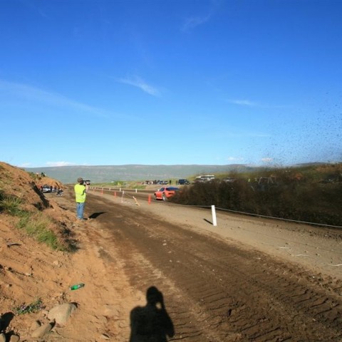 crop-img_3101__large_