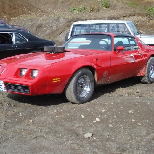 crop-sandur1.08.09_023__large_