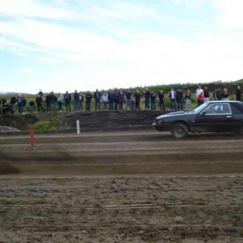 crop-sandur1.08.09_077__large_