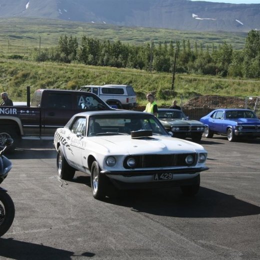 crop-07.08.2011_069__large_