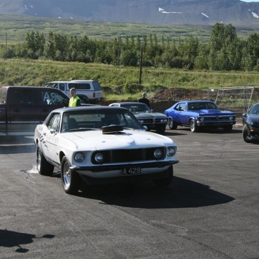 crop-07.08.2011_071__large_