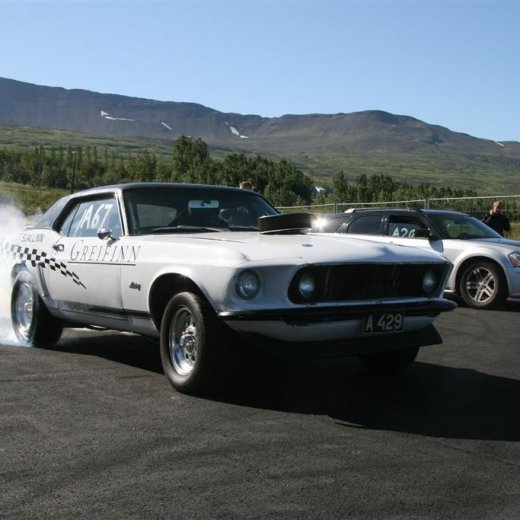 crop-07.08.2011_074__large_