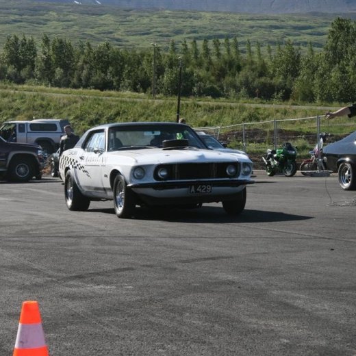 crop-07.08.2011_076__large_