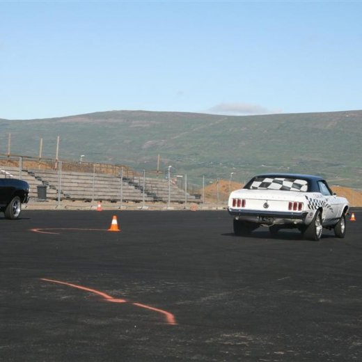 crop-07.08.2011_084__large_