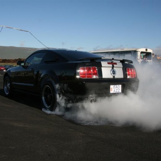 crop-07.08.2011_294__large_