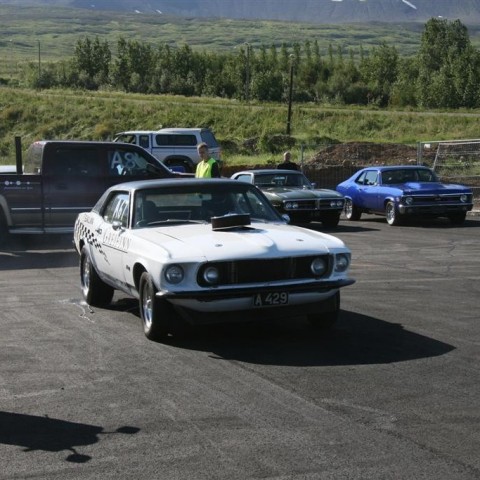 crop-07.08.2011_070__large_