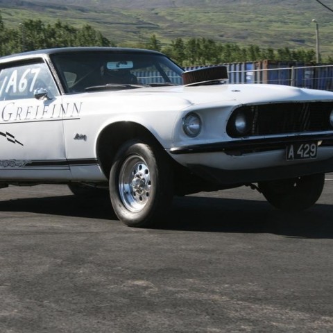 crop-07.08.2011_079__large_