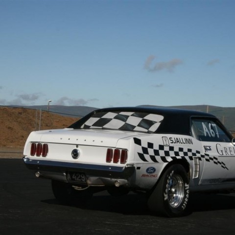 crop-07.08.2011_082__large_