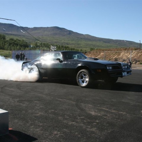 crop-07.08.2011_103__large_