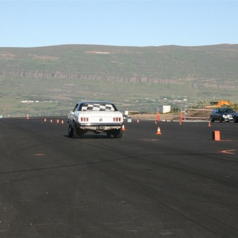 crop-07.08.2011_290__large_