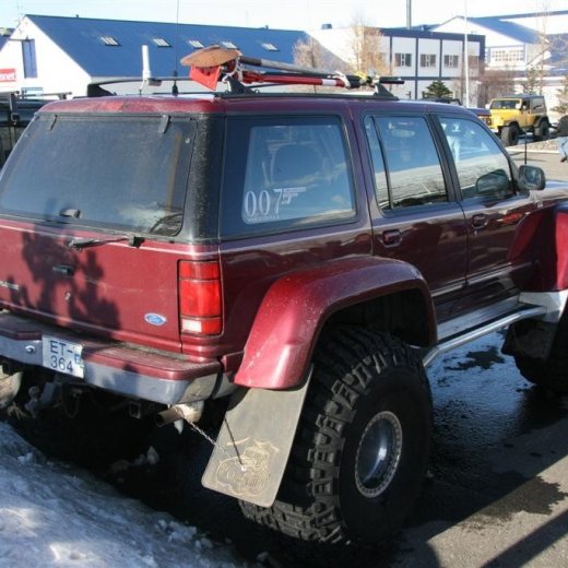 crop-26.03.2011_077__large_