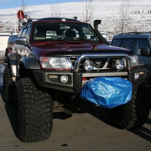 crop-26.03.2011_118__large_