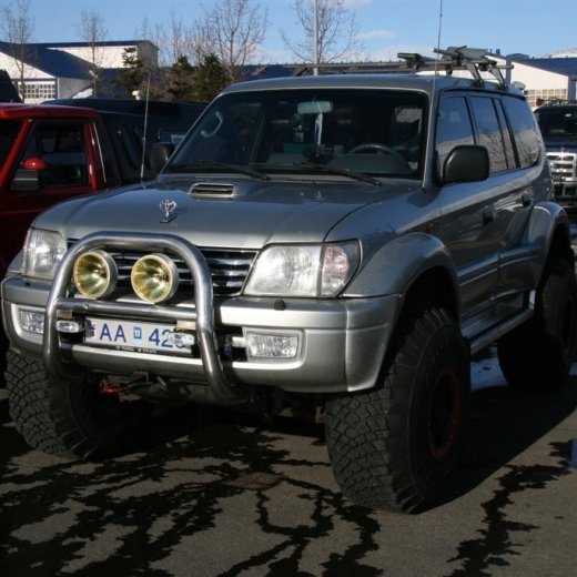 crop-26.03.2011_123__large_