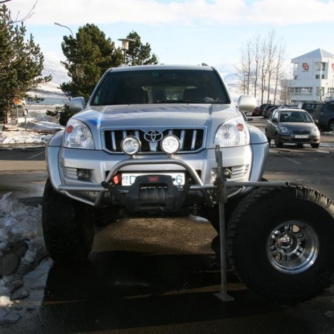 crop-26.03.2011_154__large_