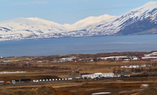 919458_525709884152449_1427771688_o