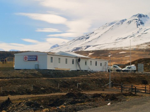 920998_525709897485781_1147807418_o