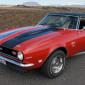 camaro_skuli