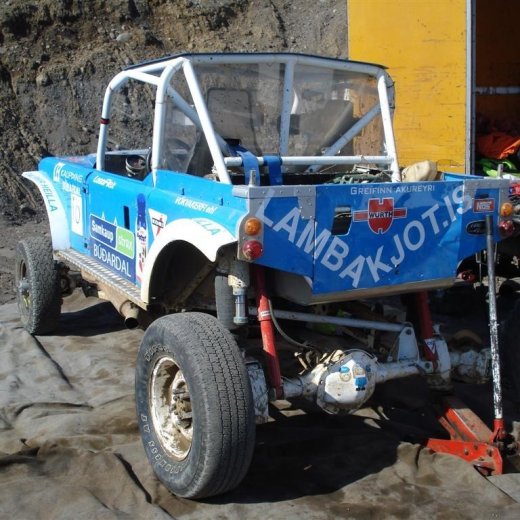 crop-26-28.06.2009_018__large_