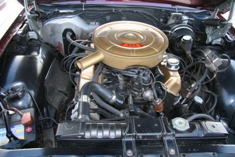 06.08.2011_011__large_