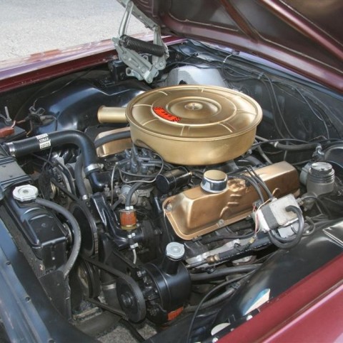 crop-06.08.2011_010__large_