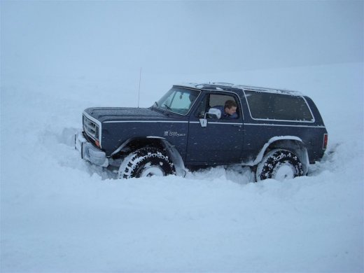 27.02.2010_050__large_