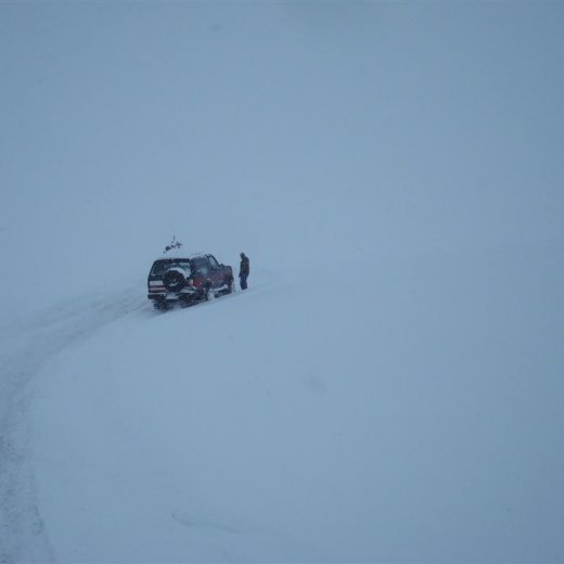 crop-27.02.2010_013__large_