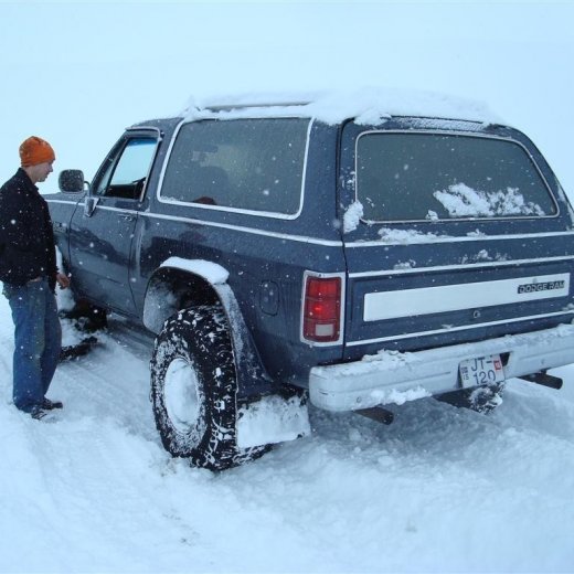 crop-27.02.2010_017__large_