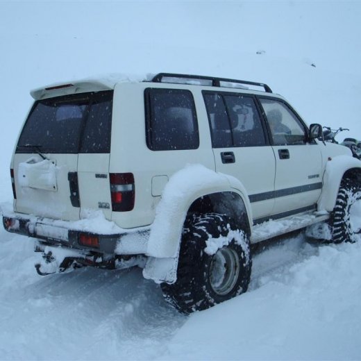 crop-27.02.2010_018__large_