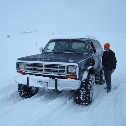 crop-27.02.2010_020__large_