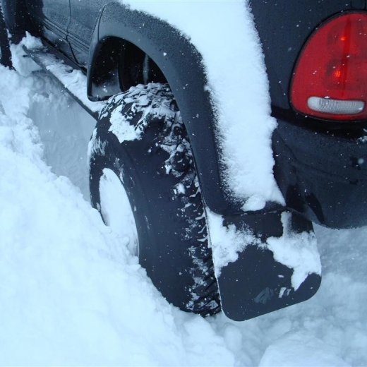 crop-27.02.2010_026__large_